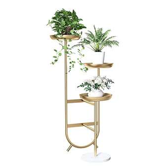 Fleurs et Plantes